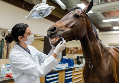 Zonder klanten geen ondernemer
