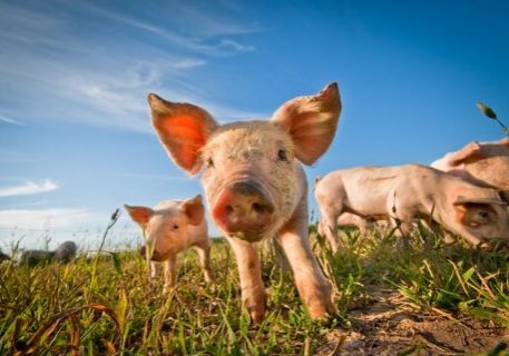 Geen voorziening voor toekomstige bedrijfsvoortzetting