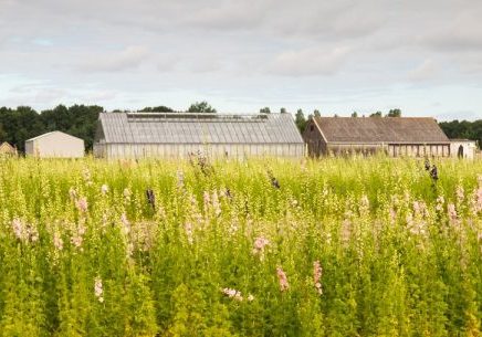 Bestemmingswijziging levert belastbare winst op